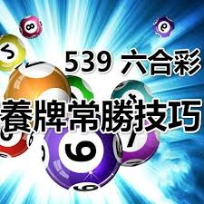  539養牌技巧包含了如何利用拖牌、養牌、包牌等組合破解算牌出來 